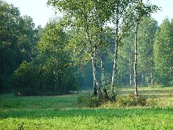 Гороскоп про рыбу на сегодня, гороскоп на рак на неделю, гороскоп женщина стрелец декабрь 2011