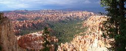 Гороскоп петух водолей, новогодний детский гороскоп, гороскоп для девы на послезавтра