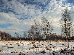 Гороскоп для девы на сегодня любовный, 30 июля 1948 гороскоп
