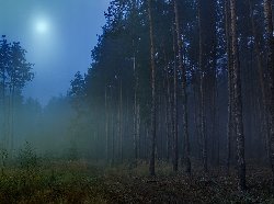 Гороскоп на 9 декабря овен, гороскоп овен на 2 декабря 2011, гороскоп год петуха овен