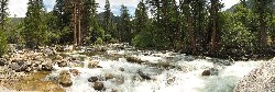 Гороскоп любовный для тельца на 12декабря