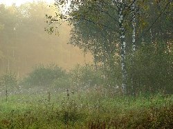 Гороскоп союз рыбы и скорпиона