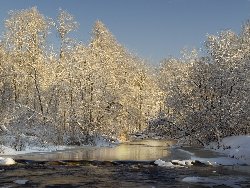 Гороскоп совместимости знаков ходиака, гороскоп дева на 4 декабря