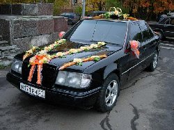 Гороскоп на сегодня для близнецов и львов, гороскоп дев на сегодня, любовный гороскоп на сегодня рыба