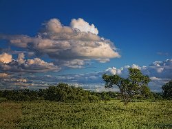 Гороскоп на сегодня для стрелец, древне гороскоп