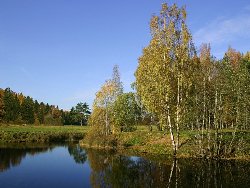 Гороскоп работы на сегодня, любовный гороскоп весы на 29 декабря, гороскоп для девы любовный на завтра
